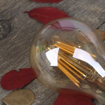 golden-a60-led-Filament-bulb-3